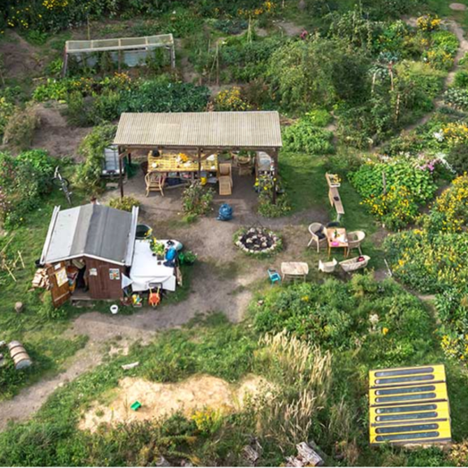 Luftaufnahme einer Gartenanlage