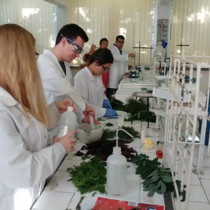 Laborsituation mit Laborant*innen