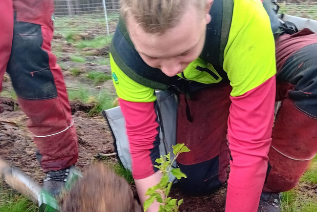 Ein Mädchen, das einen Baum pflanzt