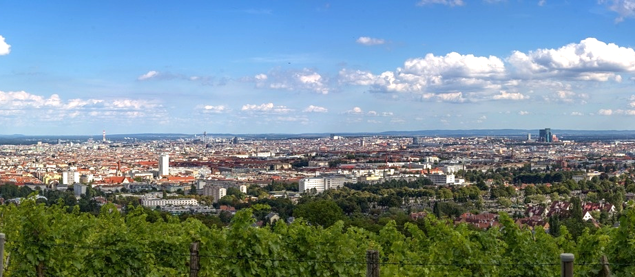 Blick auf Wien von einem Weinberg aus