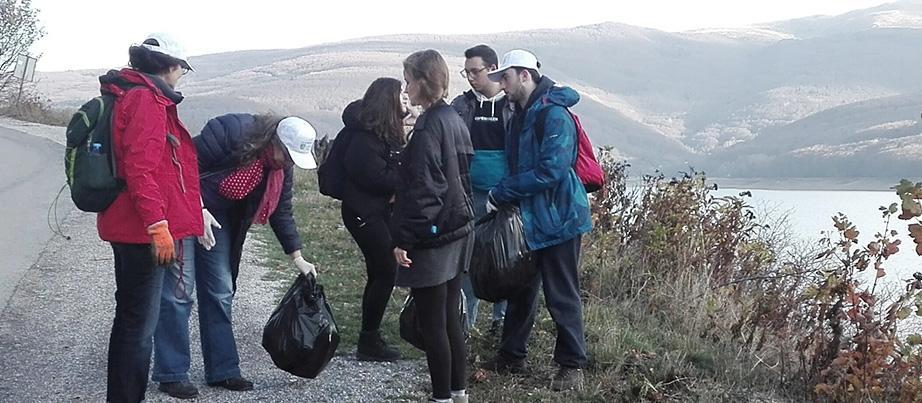 Mehrere Menschen sammeln Müll in der Natur ein