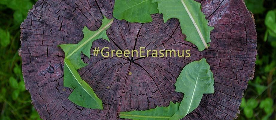 Blätter formen das Symbol der Kreislaufwirtschaft auf einer Baumscheibe, in der Mitte steht GreenErasmus
