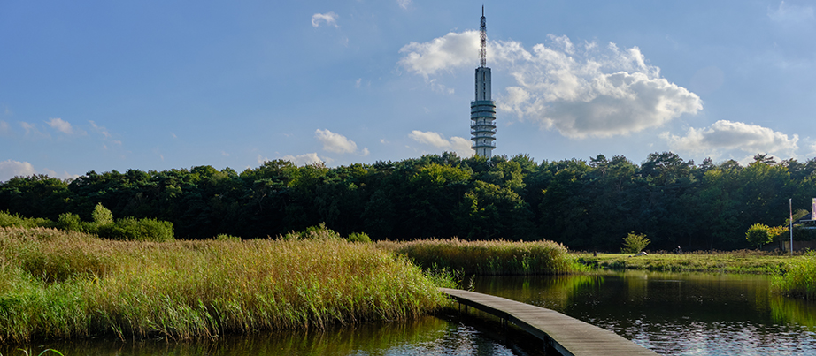 Blick auf Naturschutzgebiet und Sendemast Hilversum