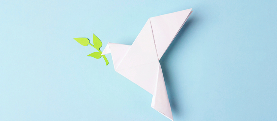 Friedenstaube mit Ölzweig aus Origamipapier