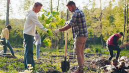 Menschen pflanzen Bäume im Wald