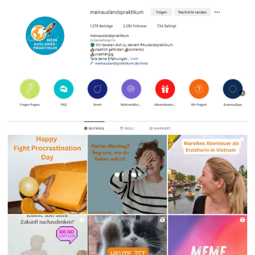 Post Übersicht vom Instagram Kanal Mein Auslandspraktikum