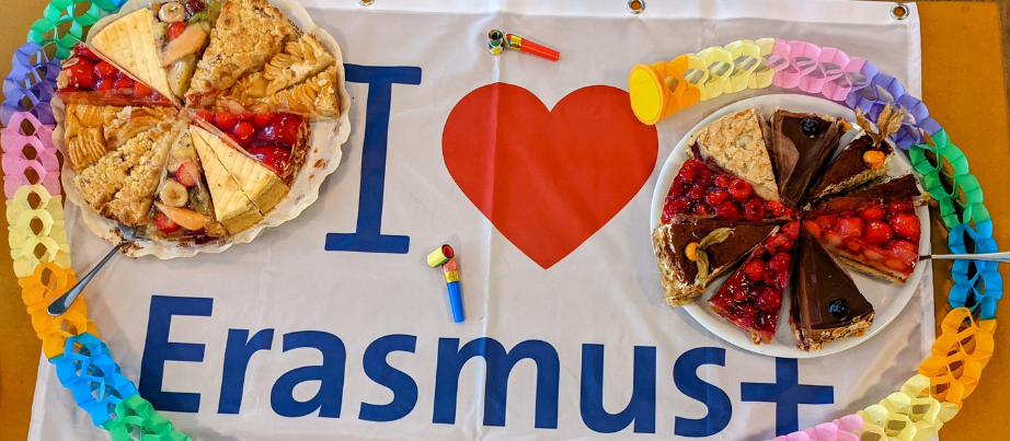 I love Erasmus Flagge